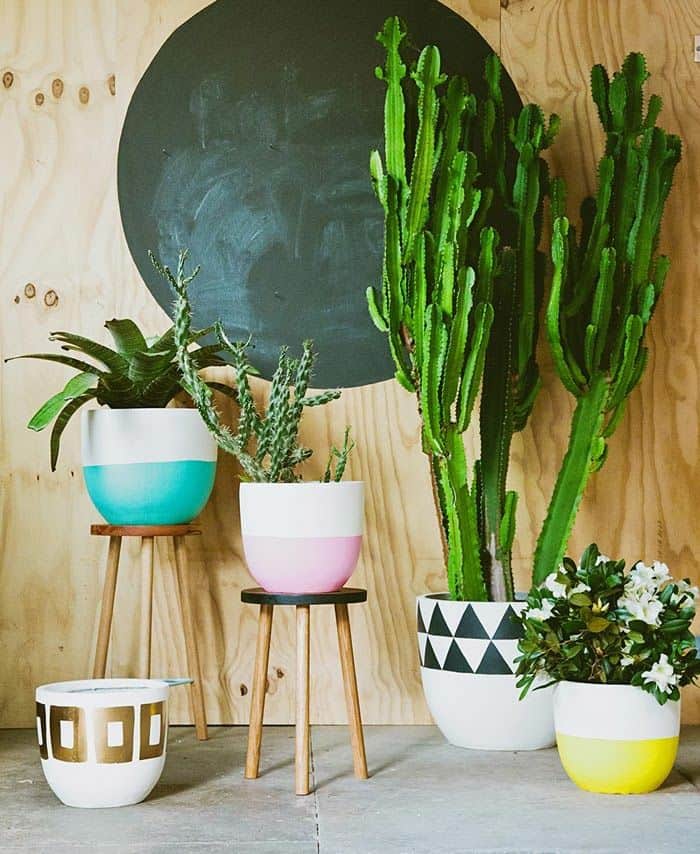 Beautiful room plants colorful pots creative decoration ideas