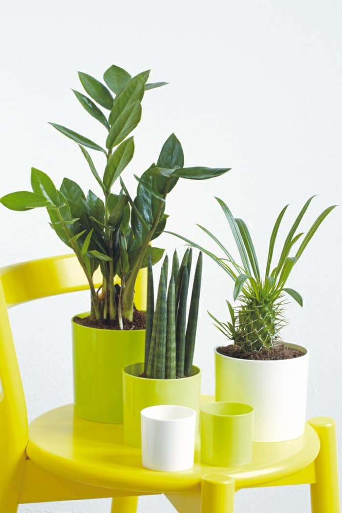 Modern plant pots Indoor Garden Feng shui dining room ideas