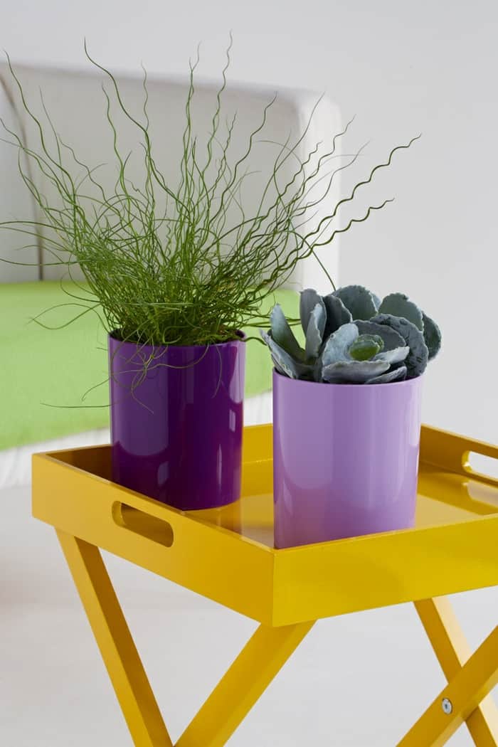 Purple planters plant pots yellow wooden stand indoor garden ideas