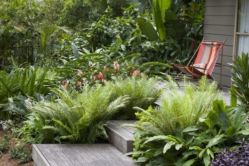 Tropical-Landscape-Backyard-Garden-Plants-by-Secret-Gardens