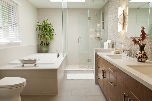 Small-contemporary-bathroom-layout-walk-in-shower-ideas