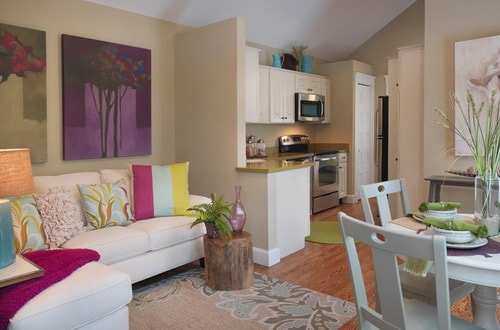 interior-design-small-house-homes-under-700-sq-feet-contemporary-living-room-ideas