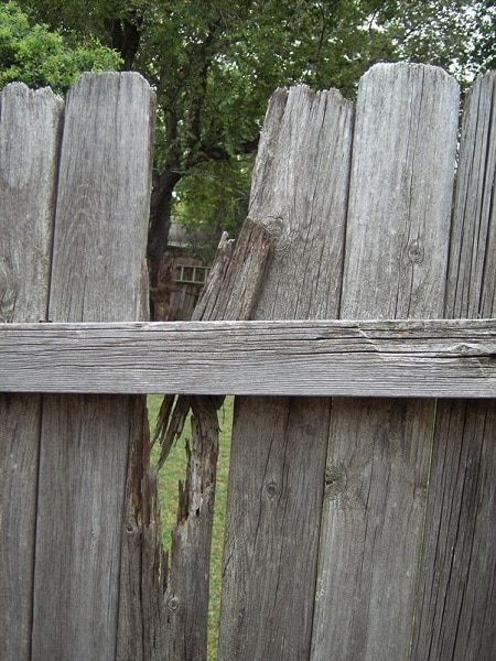 Replace broken fence sections
