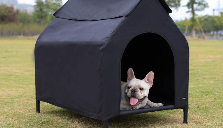 portable dog house_